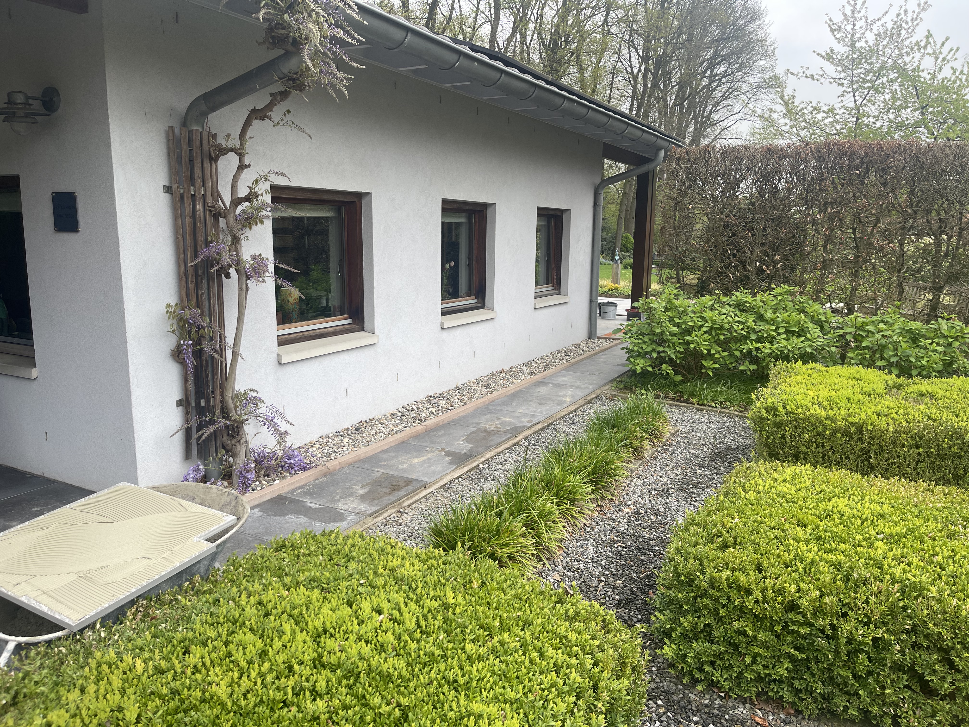 content  11 IMG_1089